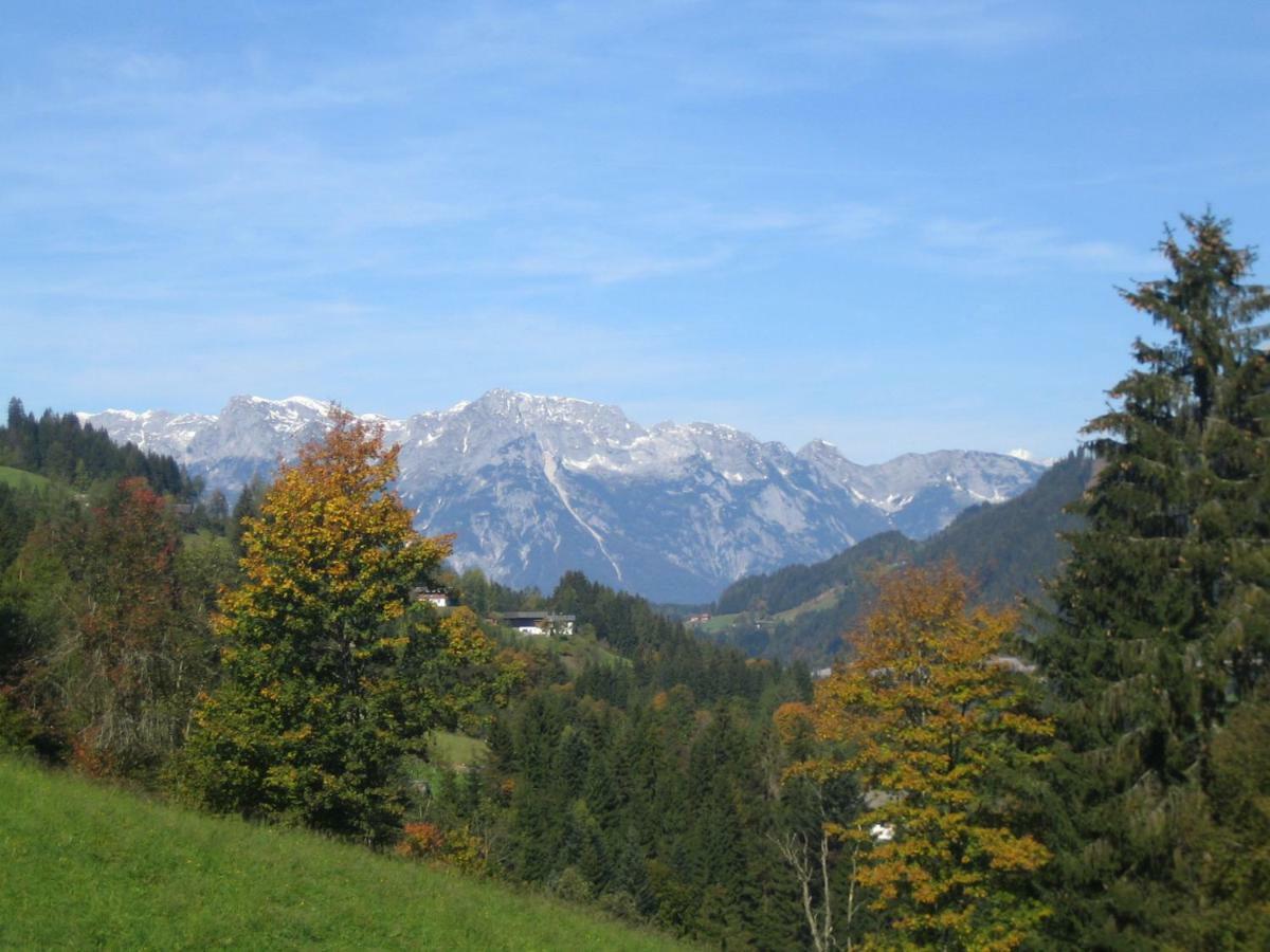 Vordersattlegghofhuette Hüttau Exterior foto